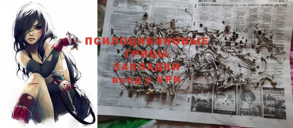 трава Заводоуковск