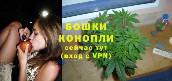 гашик Весьегонск