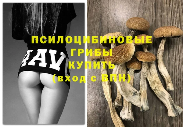 трава Заводоуковск