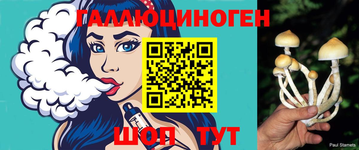 Галлюциногенные грибы Cubensis  Псилоцибиновые грибы Psilocybe  Кизилюрт  Вход с VPN 