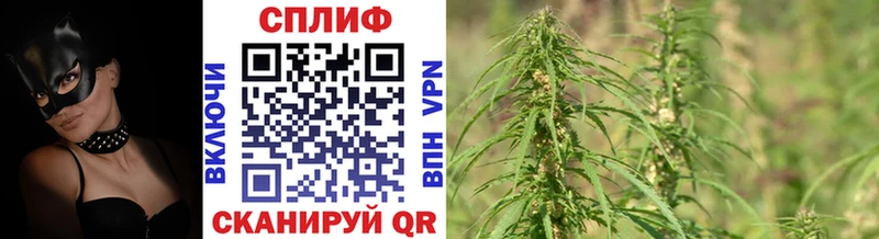 Бошки Шишки OG Kush  как найти наркотики  Кизилюрт 