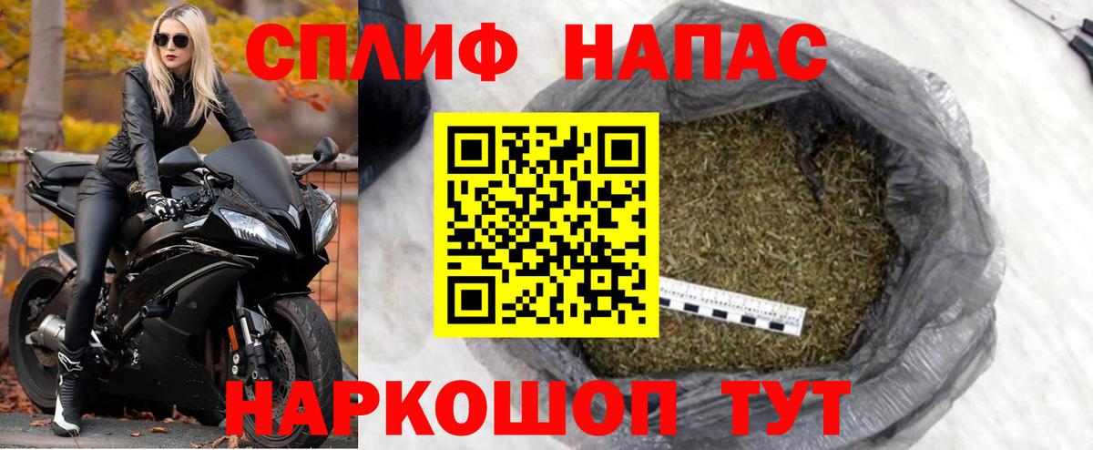 Бошки Шишки планчик Кизилюрт